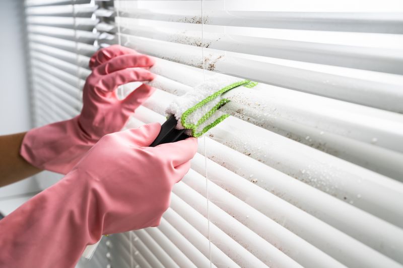Blinds Cleaning Service