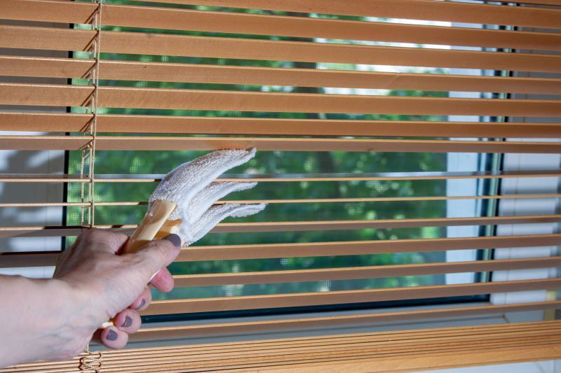 Cleaned Venetian Blinds
