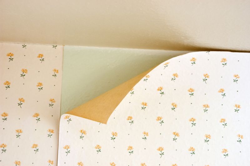 Wallpaper Repair in Denver County, CO